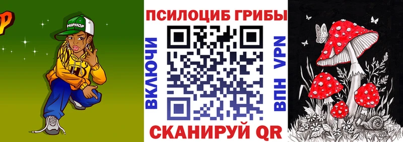 Галлюциногенные грибы Psilocybine cubensis  Купить  Красноармейск 